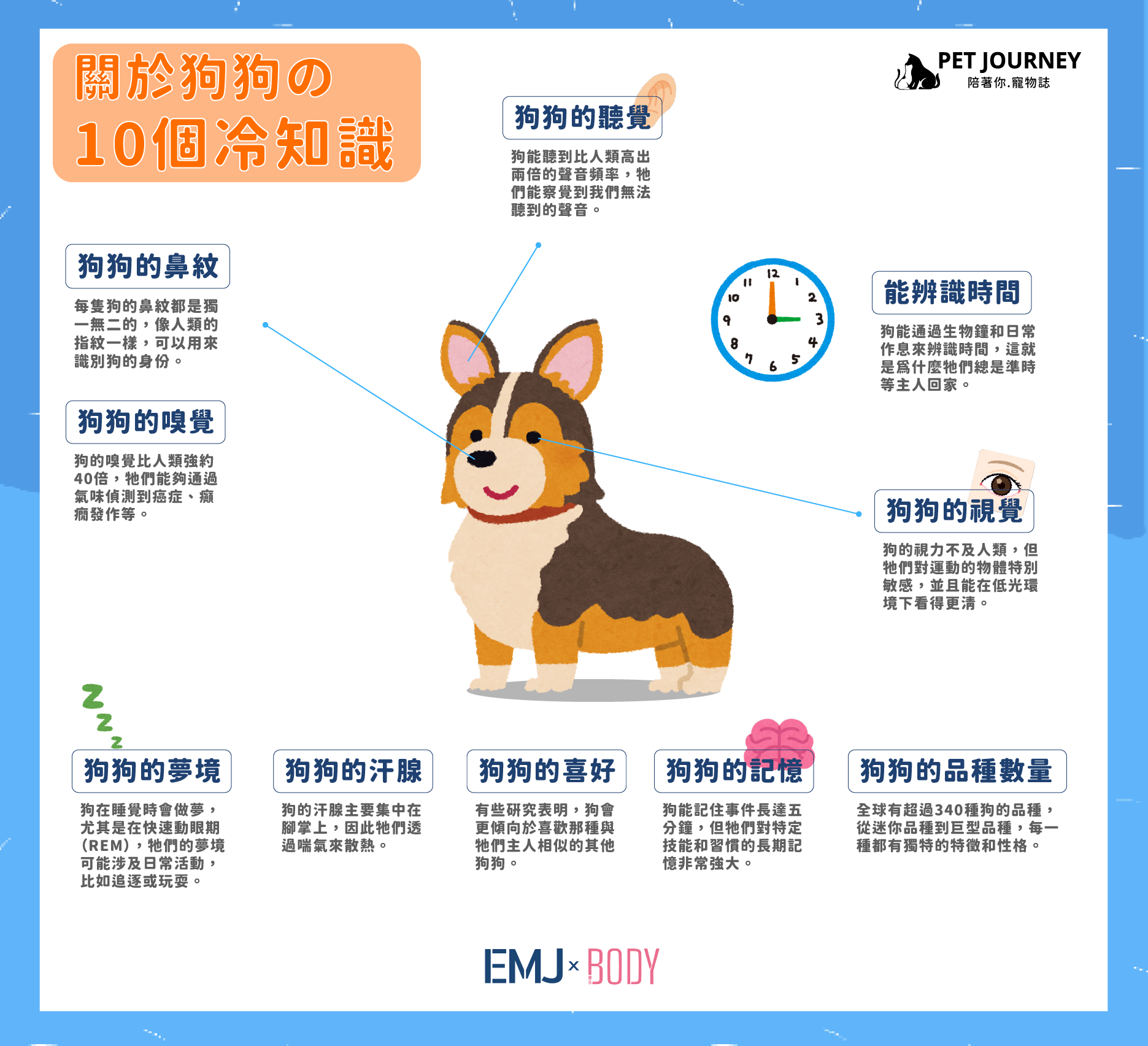 關於狗狗的冷知識🐶🐶，你知道哪些哪❓