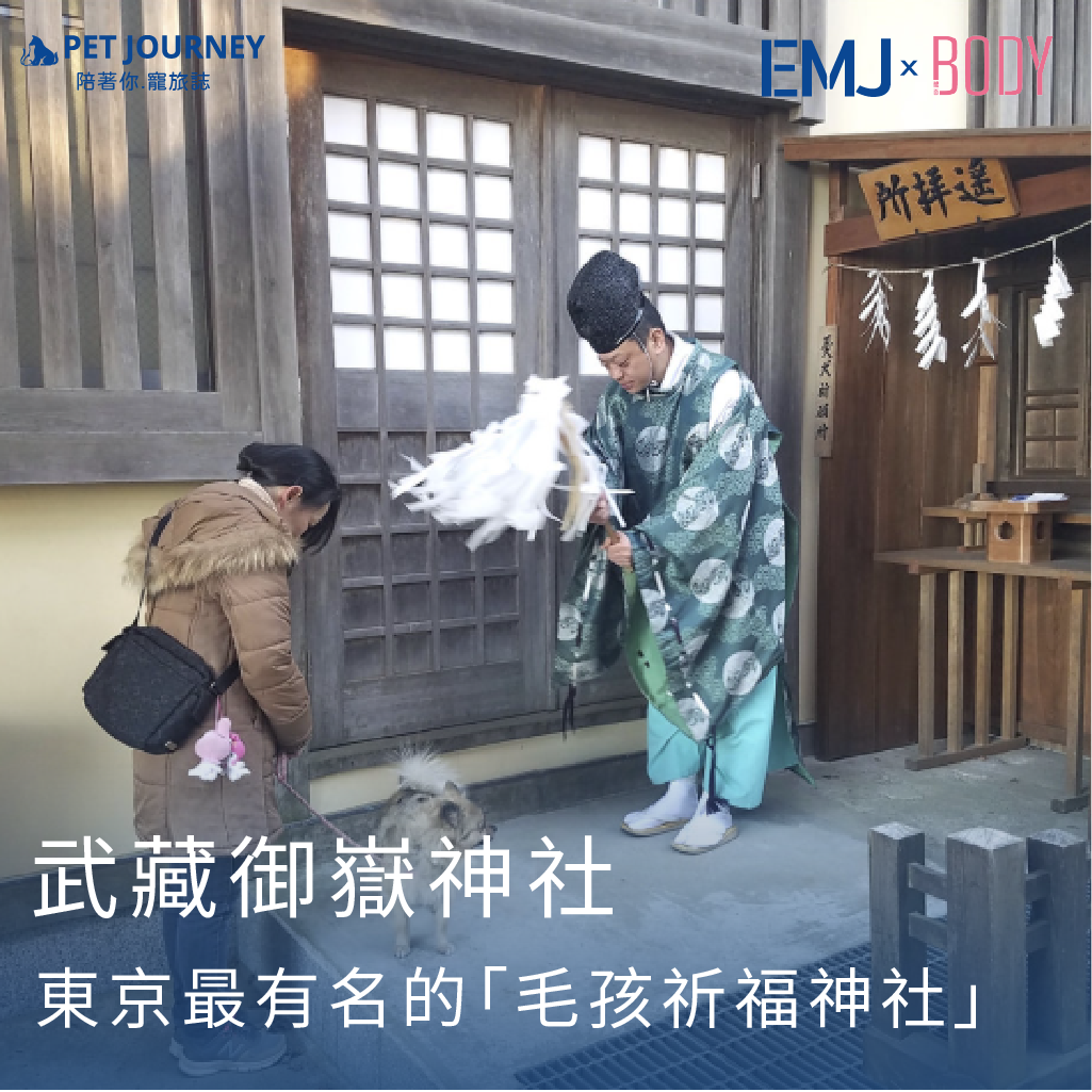 👉點我觀看：https://bodynews.com.tw/news/article/10040✨想帶毛孩一起到日本祈福？位於東京都青梅市的「武藏御嶽神社」被視為關東地區最靈驗的愛犬守護神社，提供狗狗專屬祈禱、愛犬御守、犬形代、健康長壽祈願等服務。本文帶你一次了解祈福流程、御守種類、交通方式與注意事項，是毛爸毛媽必收藏的日本寵物聖地。