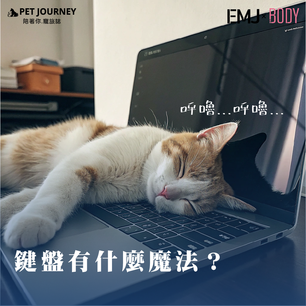 為什麼貓咪特別愛睡在鍵盤上？其實不只是鍵盤哦！📌 1. 因為「你的氣味」讓貓咪有安全感 💕貓咪是氣味導向的動物，牠們會透過氣味來判斷環境是否安全。而像是鍵盤、書本、行李箱、衣服堆這些物品，上面都充滿了你的氣味，對貓咪來說特別安心。📌 2.「這東西正在搶走你的注意力！」 🧐如果你正在忙工作、看書、打電腦，貓咪可能會覺得：「這些東西是不是比我還重要？😾」所以，牠們會直接躺上去，霸占