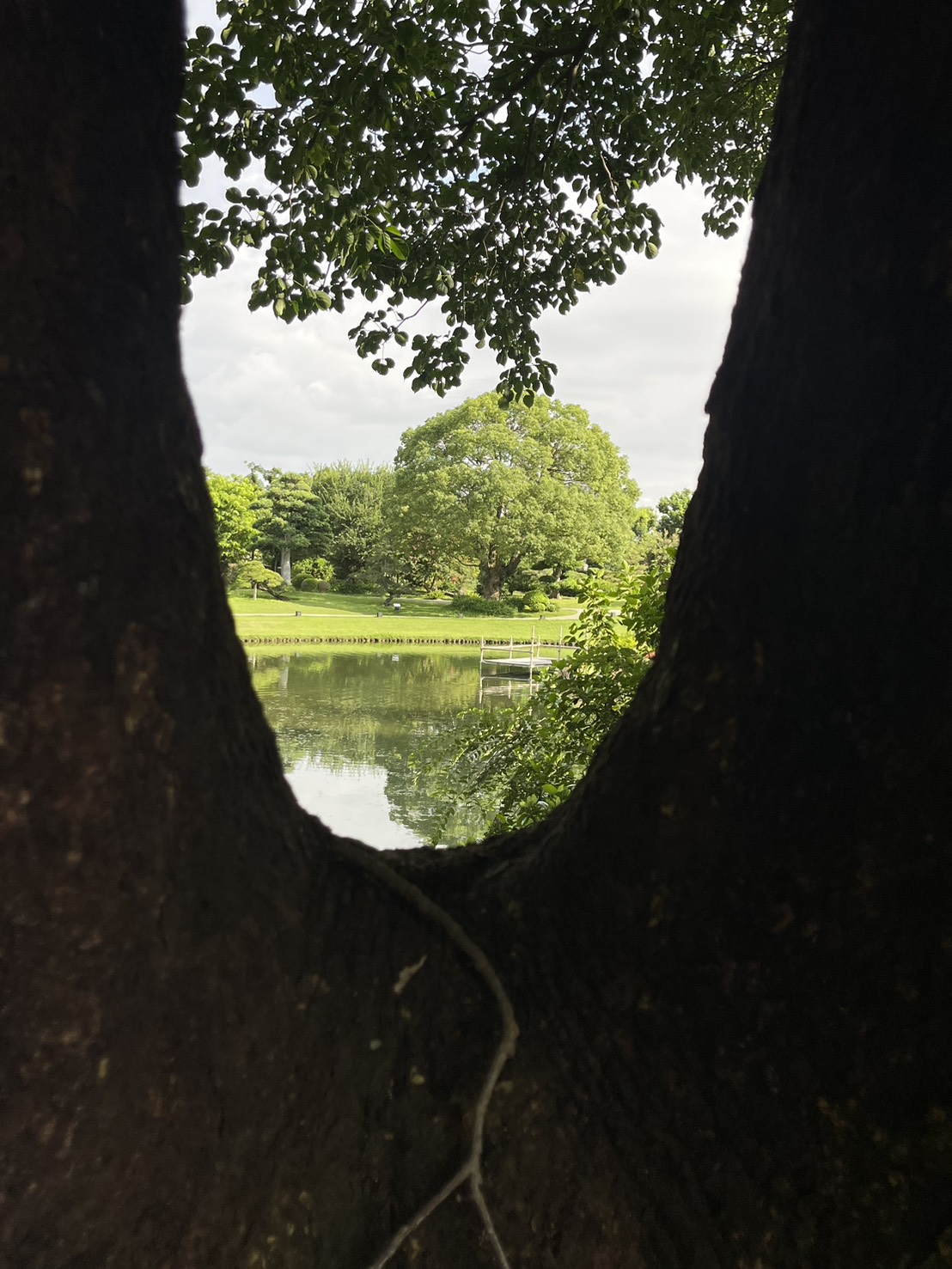原圖取景於彰化永靖［成美文化園］。放下執念，才發現眼前的一切都別有洞天，世界變得更加寬廣。