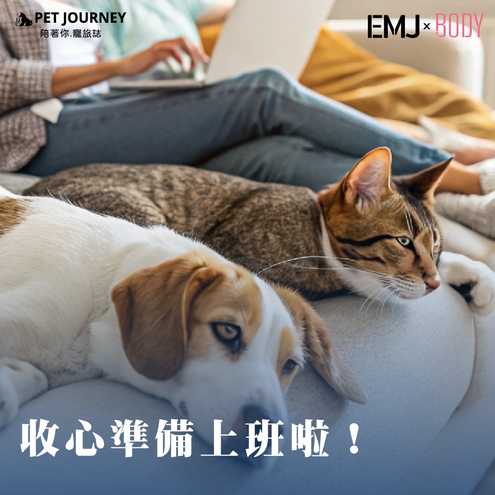 陪毛孩待在家裡四天，追劇、玩耍、一起發懶，每天醒來都有毛孩在身邊真的太幸福啦～明天就要回到現實上班，實在有點捨不得🥹但別擔心！這週五，一起來高雄找我們玩吧！🎉｜展昭高雄寵物用品展｜日期：2025/04/11(五)-04/14(一)時間：10:00-18:00地點：高雄巨蛋（高雄市左營區博愛二路757號）