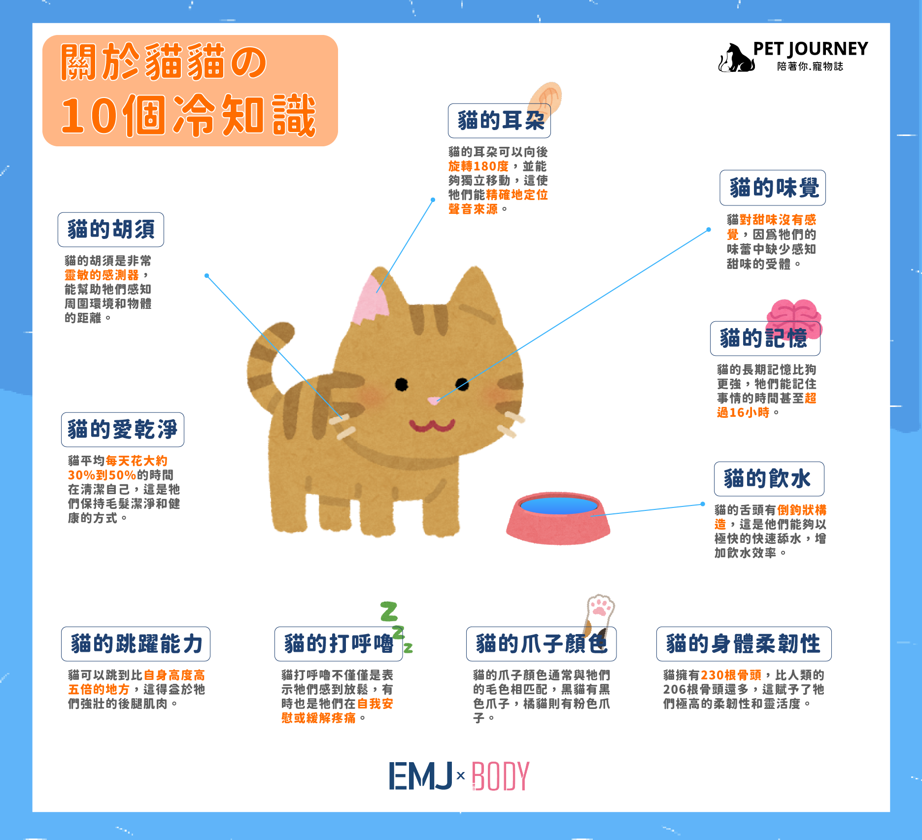 關於貓貓的冷知識🐈🐈，你知道哪些哪❓
