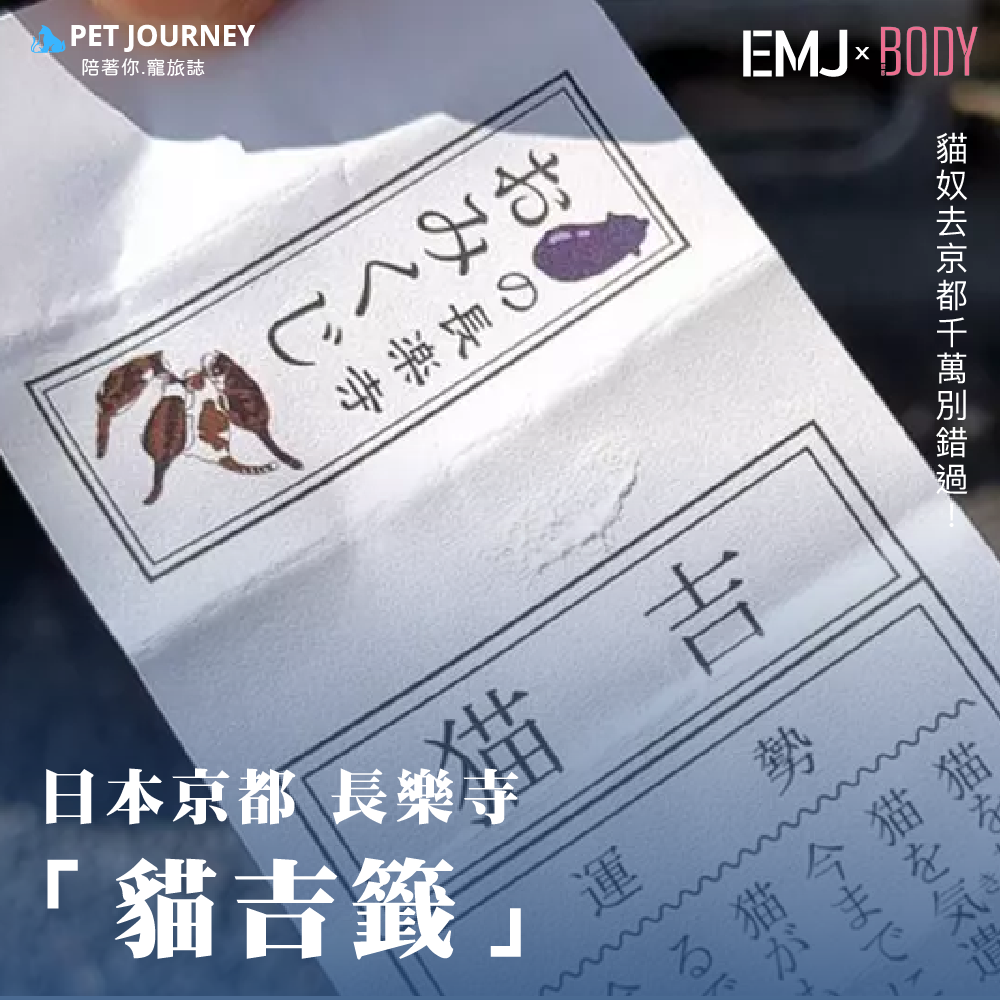 如果你是愛貓一族，或者想在忙碌的生活中尋找一絲寧靜，那麼你一定不能錯過長樂寺住持與六隻貓咪的日常(｡･ω･｡)！⠀這位60歲的住持原本只是想在推特上宣傳寺廟，沒想到因為與貓咪的溫馨互動，意外成為「療癒系作家」。⠀有去京都的朋友千萬別錯過！相關報導：https://news.gamme.com.tw/1770442📍長樂寺（京都府京都市東山區八阪鳥居前東入圓山町626）