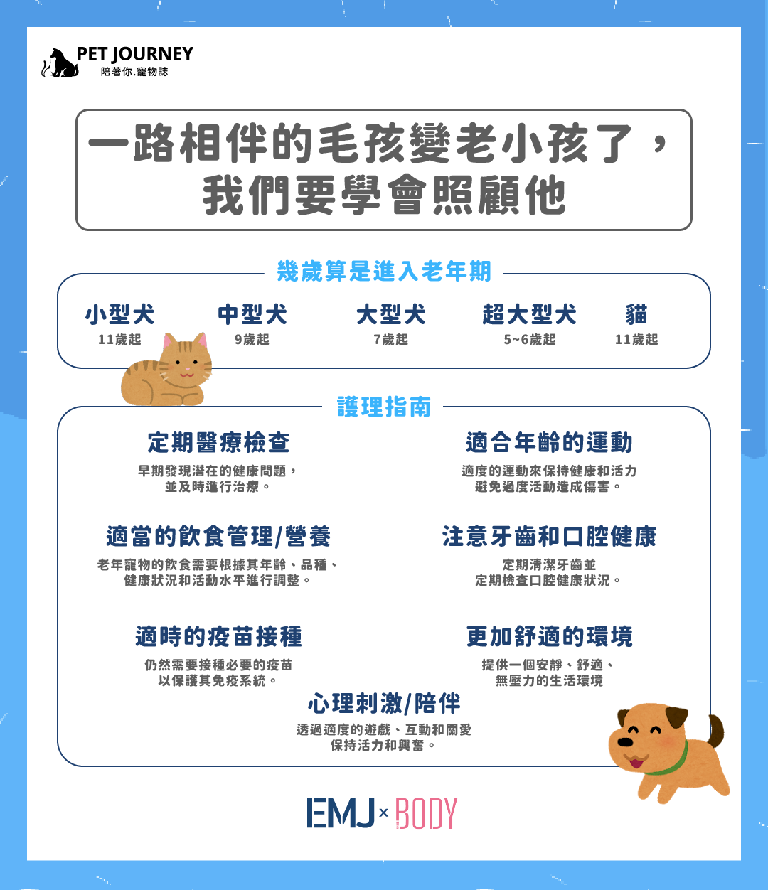 【一路相伴的毛孩變老小孩了，我們要學會照顧他】