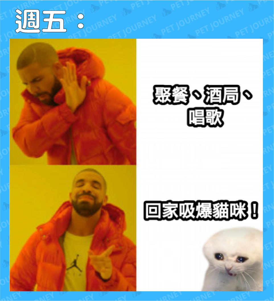 週五啦！🥳🥳