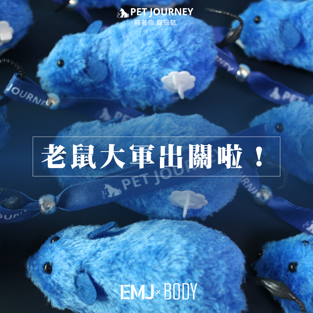 老鼠大軍出關啦！因為颱風關係上次來現場的朋友沒有領到的貓咪小玩具🎁，我們會依照順序陸續送給大家哦🤩！收到可以趕快拿來家中的毛小孩😻